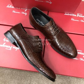 Ferragamo Calf Leather Lace Up Business Shoes For Men Brown