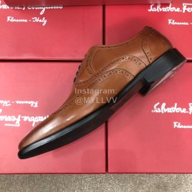Ferragamo Brown Calf Leather Lace Up Business Shoes For Men