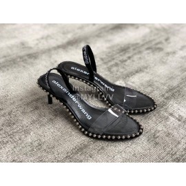 Alexander Wang Summer New Calfskin Pointed High Heeled Sandals For Women 