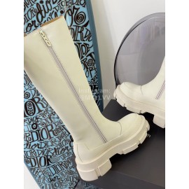 Both Cowhide Thick High Heeled Long Chelsea Boots For Women White