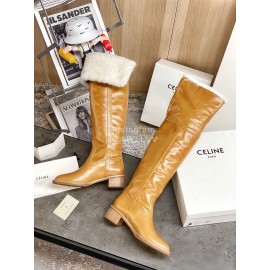 Celine Winter Cowhide Wool High Heeled Boots For Women Brown