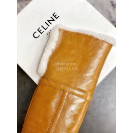 Celine Winter New Cowhide Wool High Heeled Boots For Women Brown