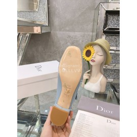 Dior Cowhide Thick High Heel Square Head Ballet Shoes For Women Blue