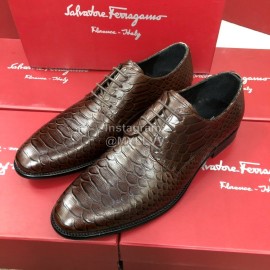 Ferragamo Calf Leather Lace Up Business Shoes For Men Brown