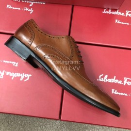 Ferragamo Brown Calf Leather Lace Up Business Shoes For Men