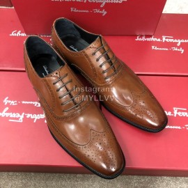 Ferragamo Brown Calf Leather Lace Up Business Shoes For Men