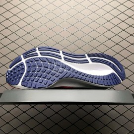Nike Zoom Pegasus 38 Sneakers For Men And Women Dh4243-001