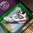 Off White Co Branded Air Jordan Basketball Sneakers For Men And Women White