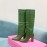 Paris Texas Crocodile Leather Thick High Heeled Long Boots For Women Green